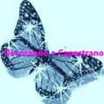 /album/prodotti-animali-2-farfalle-ed-insetti-vari/farfalla14-blu-celeste-filigrana-jpg/